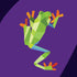 PAINT BY STICKER KIDS: ZOO ANIMALS - WORKMAN